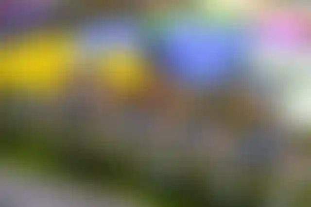 Изображение галереи