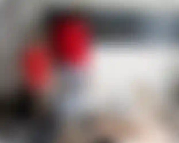 Изображение галереи