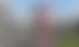 Изображение галереи