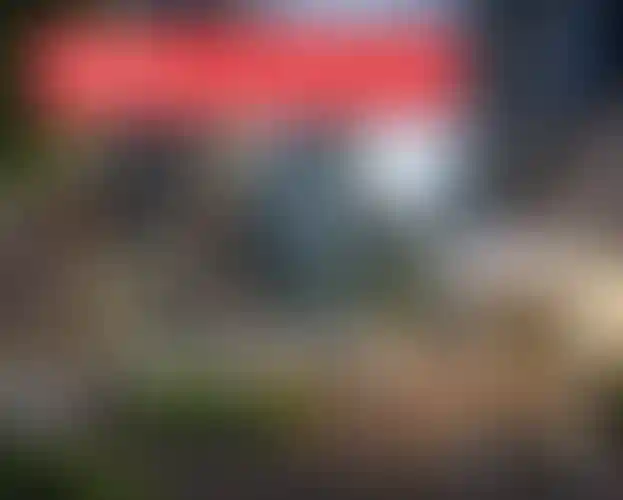 Изображение галереи