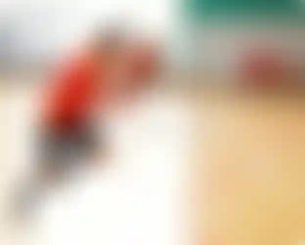 Изображение галереи