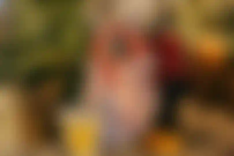 Изображение галереи