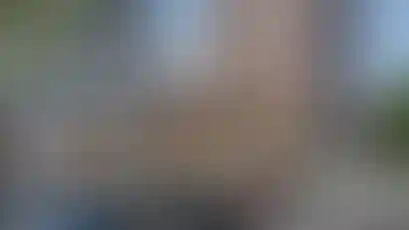 Изображение галереи