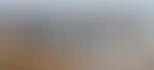 Изображение галереи