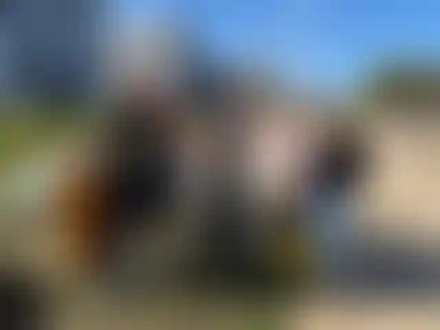 Изображение галереи