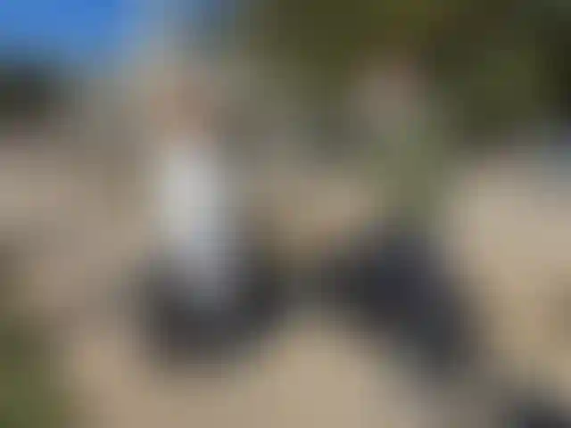 Изображение галереи