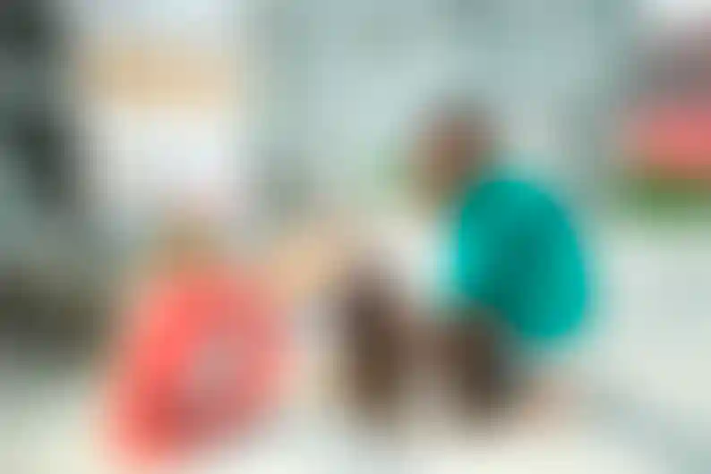 Изображение галереи