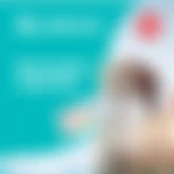 Изображение галереи