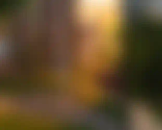 Изображение галереи