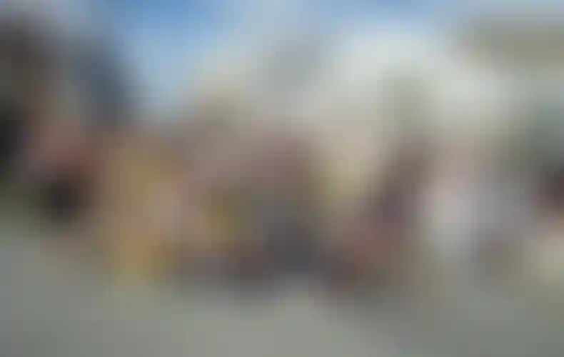 Изображение галереи