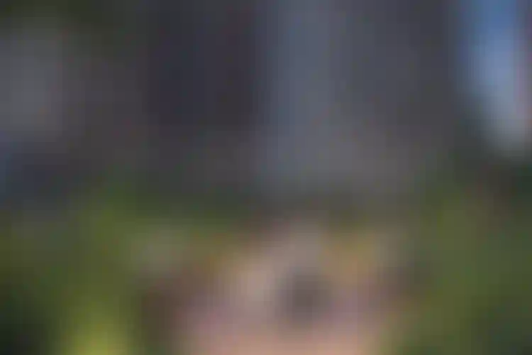 Изображение галереи