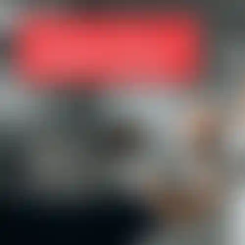 Изображение галереи