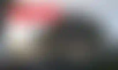 Изображение галереи