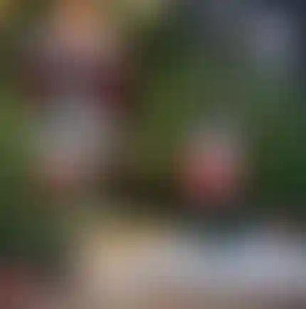 Изображение галереи