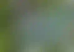 Изображение галереи