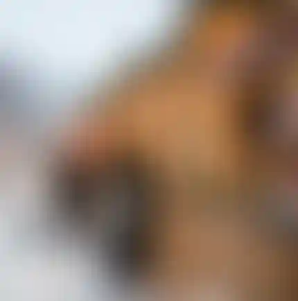 Изображение галереи