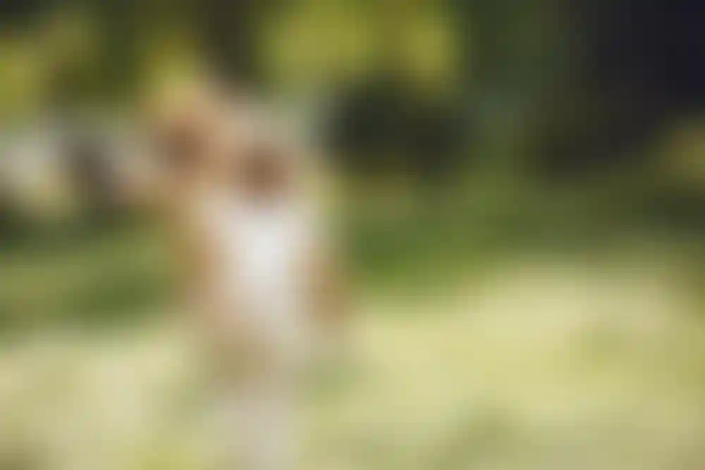 Бэкграунд изображение устойчивого развития