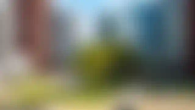 Живи с нами в Городах А101