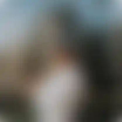 Изображение корпоративной жизни