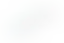 Обращение в компанию А101