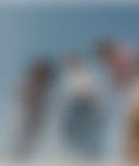 Создаем команду профессионалов