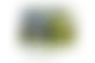 Культивируем внимание к красоте во всем