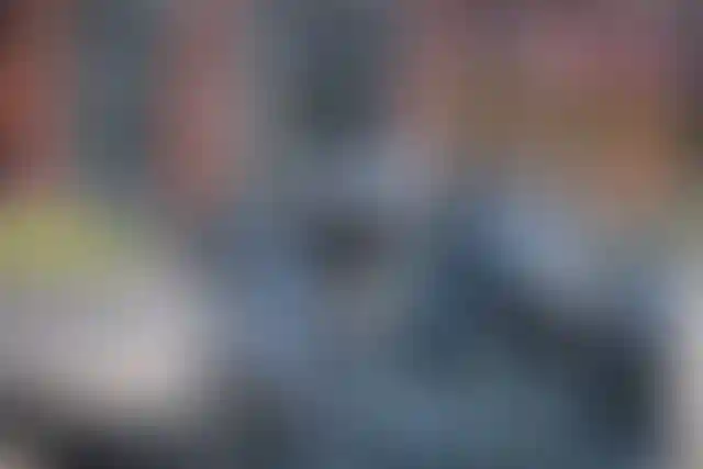 Одиссея Муми-троллей в ЖК «Скандинавия»