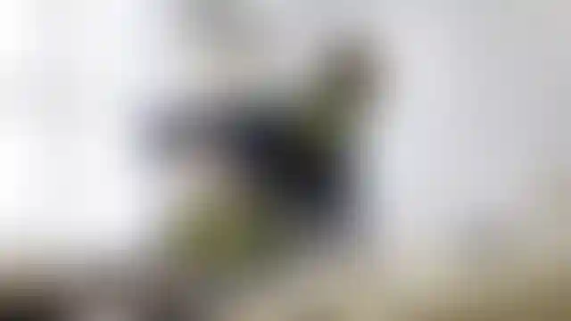 Столярная мастерская | Москва А101