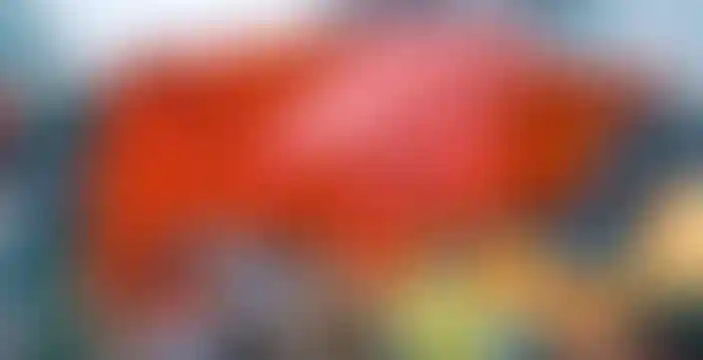 Открытие скульптуры красного быка