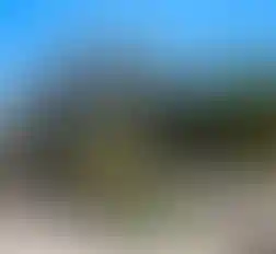 Школа «Энергия»