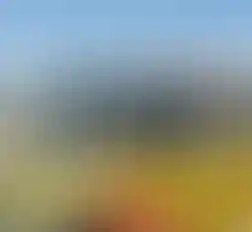 Школа № 2070 (Липовый парк)