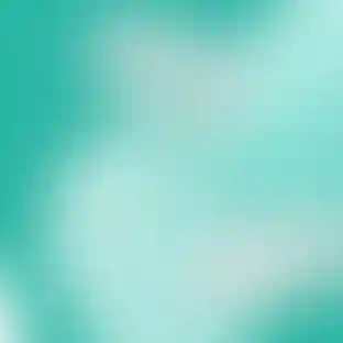 Запустили аукцион