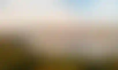 «История и культура российского предпринимательства»