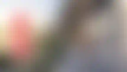 Повышение цен на квартиры с 15 мая