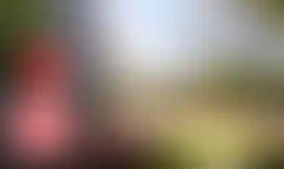 Повышение цен на квартиры с 15 июля