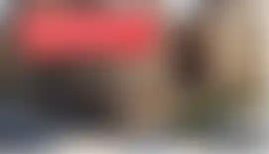 Ипотека для бизнеса со ставкой от 13,89 % — ваш надёжный старт