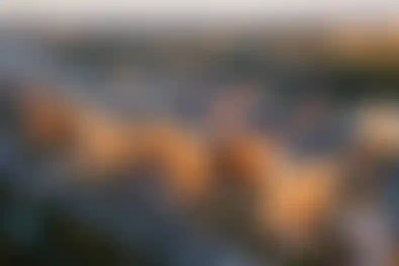 Готовый арендный бизнес — в продаже!