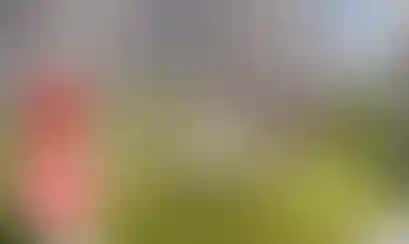 Повышение цен на квартиры с 1 октября
