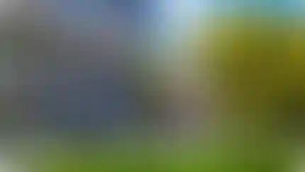 Большая цифровая книга о школах А101