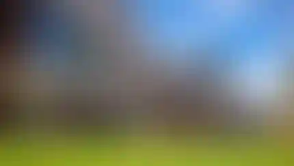 Воздушная гимнастика в «школе Ямбурга». Секция под руководством знаменитой артистки цирка появится в «Прокшино»