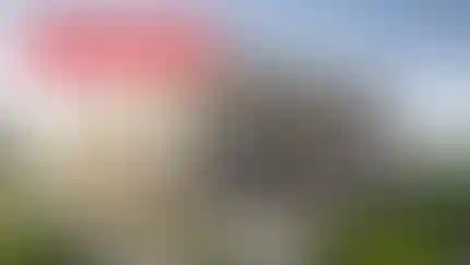 Старт продаж коммерческих помещений в многоэтажном наземном паркинге «Скандинавии»