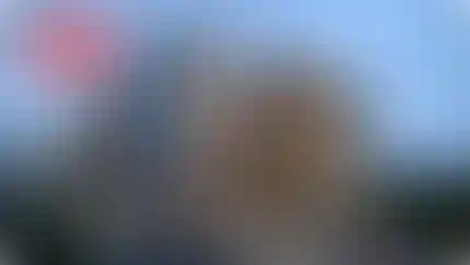 Специальные условия беспроцентной рассрочки только на 2 помещения в «Прокшино»