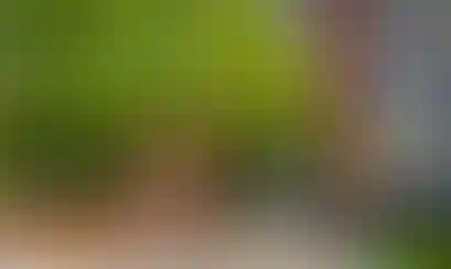 Группа компаний «А101» представляет результаты по МСФО за 2024 год