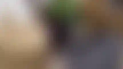 Волшебный «Клубок». Открываются весенние ярмарки уникальных изделий ручной работы