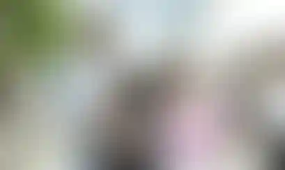 Фестиваль добрососедства А101 «ДОМ». Самые интересные пункты программы