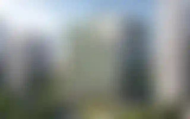 Льготная ипотека для IT-специалистов: что предлагается в Ленобласти?