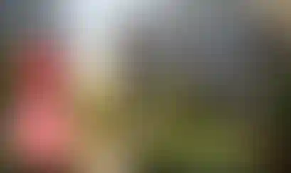 Повышение цен на квартиры с 1 августа