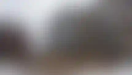 Семь корпусов домов 37.1 и 28 введены в эксплуатацию в «Скандинавии»