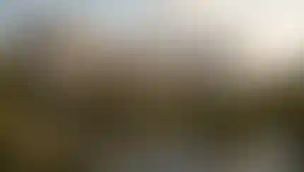 В жилом районе «Прокшино» появится комьюнити-центр с огородом на крыше, мастерскими и библиотекой