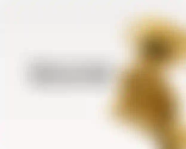 Наш сайт взял «золото» на конкурсе «Золотой сайт»!